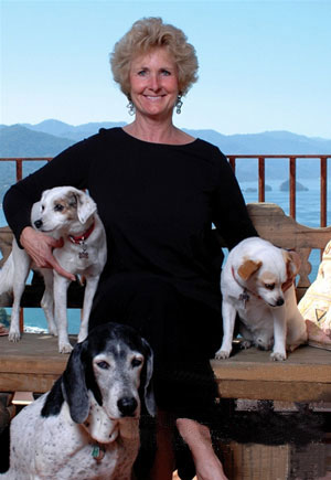 pv real estate